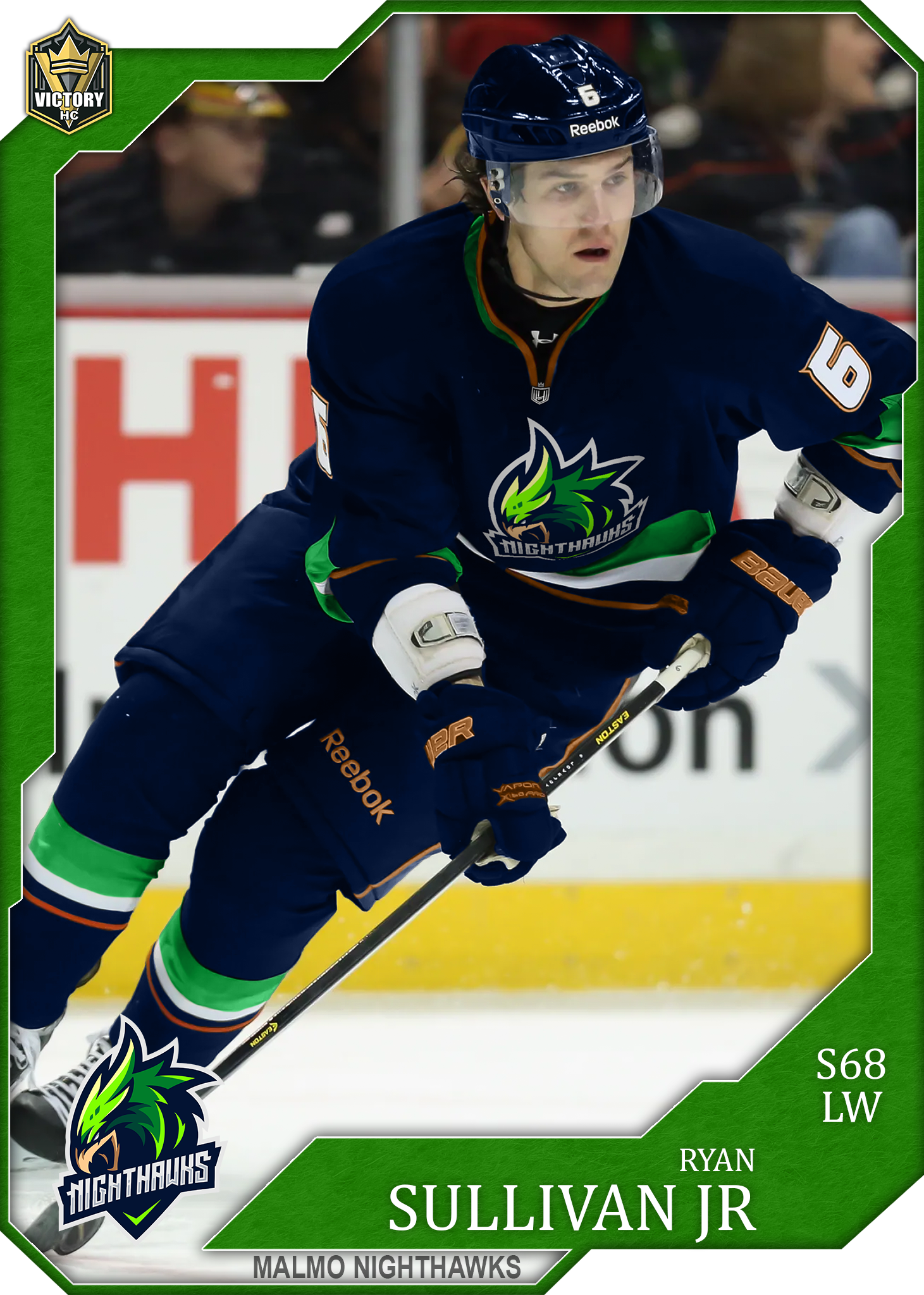 Ryan Sullivan Jr card